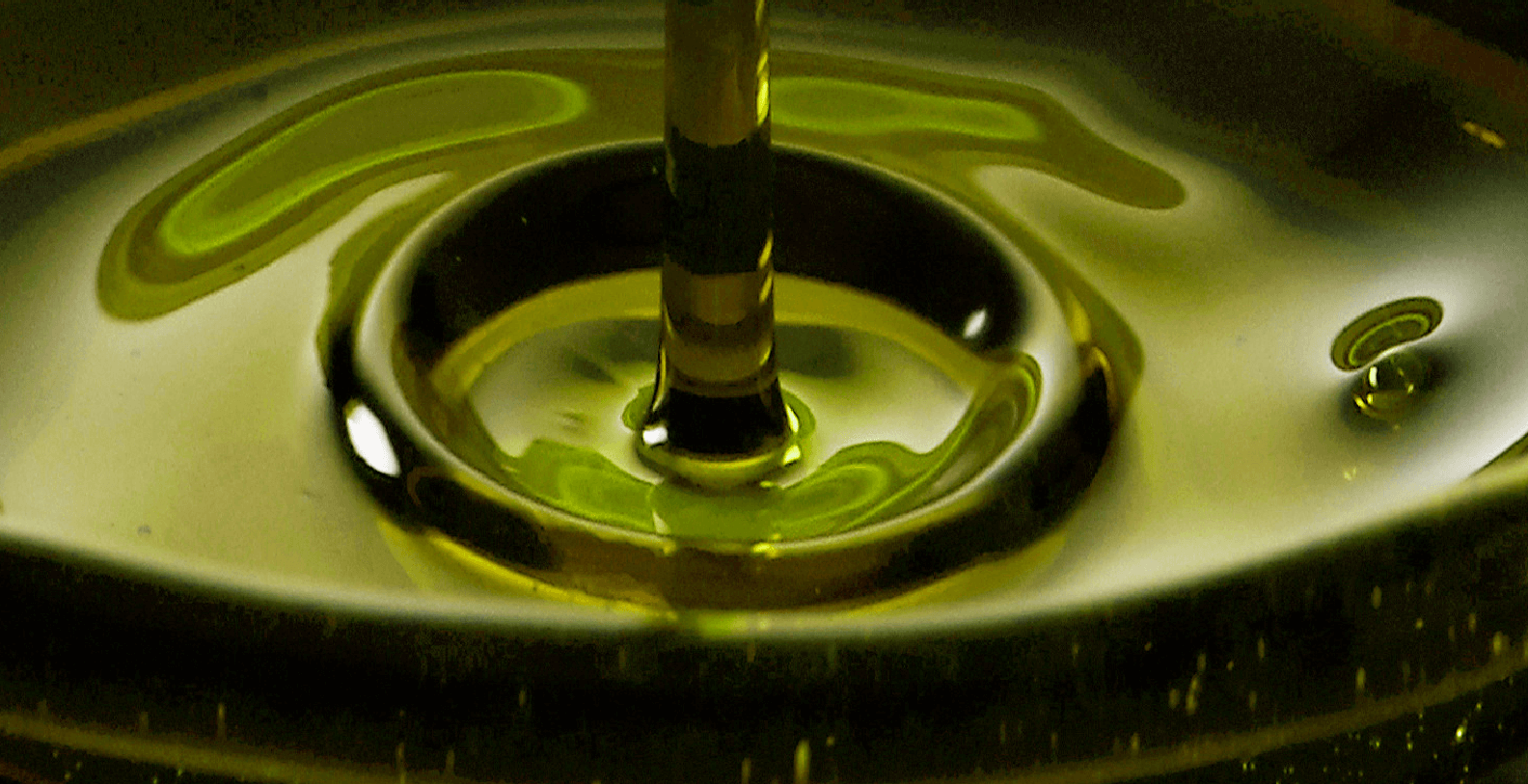olive-terre-aurunche-olio-evo-dop